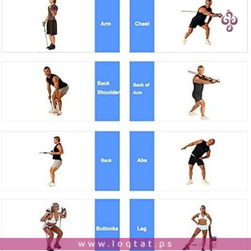 أحزمة تمارين قابلة للتعديل من BHMS لتدريب عضلات الجسم 5 ألوان مختلفة